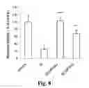 Fig. 09 - COMPOSITIONS FOR TREATING NERVOUS SYSTEM CONDITIONS