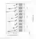 Fig. 45 - Vaccine immunotherapy