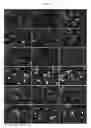 Fig. 10 - Efficient Generation of Neurally-Induced Mesenchymal Stem Cells and Applications Thereof
