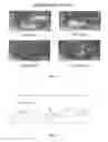 Fig. 02 - Tissue engineered meniscus scaffolds and methods of use