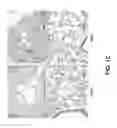Fig. 04 - METHODS OF TREATING EDEMA RELATED TO ISCHEMIA-REPERFUSION