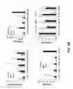 Fig. 08 - METHODS OF TREATING EDEMA RELATED TO ISCHEMIA-REPERFUSION
