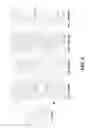 Fig. 09 - METHODS OF TREATING EDEMA RELATED TO ISCHEMIA-REPERFUSION