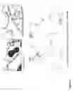 Fig. 08 - Tissue Engineering of Lung