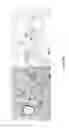 Fig. 34 - Tissue Engineering of Lung