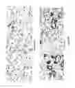Fig. 48 - Tissue Engineering of Lung