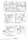 Fig. 59 - Tissue Engineering of Lung