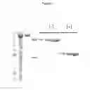 Fig. 08 - Fusion proteins
