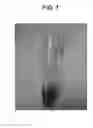 Fig. 02 - ADHESIVE COMPOSITION COMPRISING TANNIN, POLY(ETHYLENE GLYCOL), AND WATER, LOWER ALCOHOL OR MIXTURE THEREOF