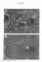 Fig. 04 - INHIBITORS OF BACTERIAL PLASMINOGEN ACTIVATORS