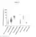 Fig. 05 - INHIBITORS OF BACTERIAL PLASMINOGEN ACTIVATORS