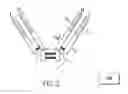 Fig. 04 - Compositions of F(ab′)antibody fragments