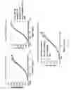 Fig. 02 - Methods for identifying safe and functional humanized antibodies