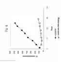Fig. 09 - Combination Cancer Therapy Comprising Administration of an EGFR Inhibitor and an IGF-1R Inhibitor