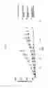 Fig. 14 - Combination Cancer Therapy Comprising Administration of an EGFR Inhibitor and an IGF-1R Inhibitor