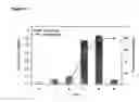 Fig. 10 - Antigen binding domains