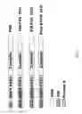 Fig. 02 - CHIMERIC FACTOR VII MOLECULES WITH ENHANCED HALF LIFE AND METHODS OF USE