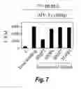 Fig. 08 - Use of modulators of compounds of TGF-β superfamily to regulate hepcidin-mediated iron metabolism