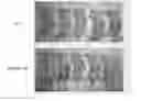 Fig. 01 - Tumor biomarker