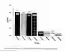 Fig. 06 - Compositions and Methods for Preventing Erythropoietin-Associated Hypertension