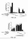 Fig. 04 - Antibodies to signal transduction protein TAB2