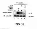 Fig. 05 - Antibodies to signal transduction protein TAB2