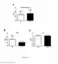 Fig. 04 - DYSFUNCTION OF THE MITOCHONDRIAL RESPIRATORY CHAIN, METHODS FOR DIAGNOSIS, TREATMENT AND FOLLOW-UP