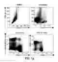Fig. 02 - BTLA Antibodies and Uses Thereof