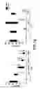Fig. 03 - BTLA Antibodies and Uses Thereof