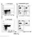 Fig. 04 - BTLA Antibodies and Uses Thereof