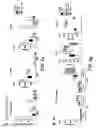 Fig. 05 - BTLA Antibodies and Uses Thereof