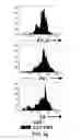 Fig. 08 - BTLA Antibodies and Uses Thereof