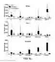 Fig. 09 - BTLA Antibodies and Uses Thereof