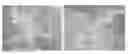 Fig. 01 - Enhanced Binding of Pro-Inflammatory Cytokines by Polysaccharide-Antibody Conjugates