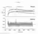 Fig. 08 - Enhanced Binding of Pro-Inflammatory Cytokines by Polysaccharide-Antibody Conjugates
