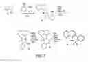 Fig. 03 - Compounds that inhibit NFκB and BACE1 activity