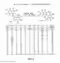 Fig. 05 - Compounds that inhibit NFκB and BACE1 activity