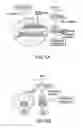 Fig. 06 - Compounds that inhibit NFκB and BACE1 activity