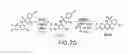 Fig. 10 - Compounds that inhibit NFκB and BACE1 activity
