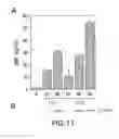 Fig. 15 - Compounds that inhibit NFκB and BACE1 activity