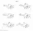Fig. 13 - COMPOSITIONS AND METHODS FOR TREATMENT OF AUTOIMMUNE AND OTHER DISEASE