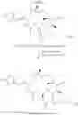Fig. 511 - COMPOSITIONS AND METHODS FOR TREATMENT OF AUTOIMMUNE AND OTHER DISEASE