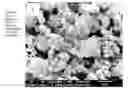 Fig. 01 - DRY POWDER FORMULATIONS AND METHODS FOR TREATING PULMONARY DISEASES