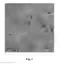 Fig. 02 - Composite nanogranules from polymer/inorganic nanoparticles, preparation method thereof and use of the same