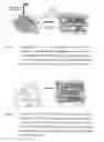 Fig. 07 - POLYMERIC PHARMACEUTICAL DOSAGE FORM IN SUSTAINED RELEASE