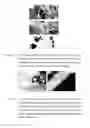 Fig. 10 - POLYMERIC PHARMACEUTICAL DOSAGE FORM IN SUSTAINED RELEASE