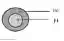 Fig. 01 - Extended release pharmaceutical compositions