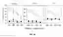 Fig. 35 - Multiple antigen delivery system using hepatitis E virus-like particle