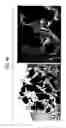 Fig. 06 - Bone filling material comprising sintered titanium dioxide and dextrin and method for reconstructing bone defects using the same