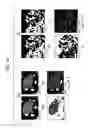 Fig. 09 - Bone filling material comprising sintered titanium dioxide and dextrin and method for reconstructing bone defects using the same